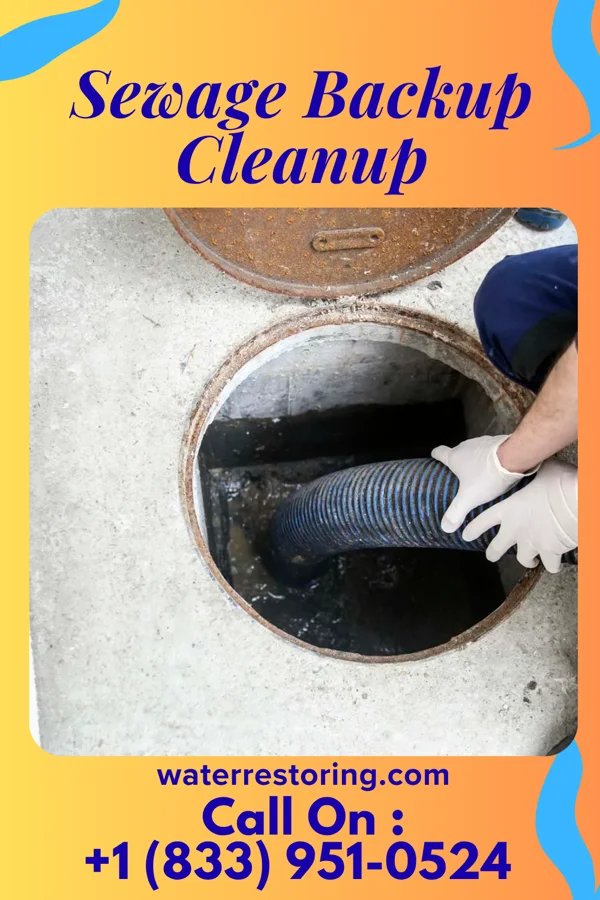 Sewage Backup Cleanup in Beaman, IA